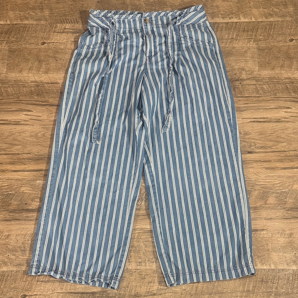 American Eagle Outfitters Blue and White Striped Wide Leg Pants - Size 16
